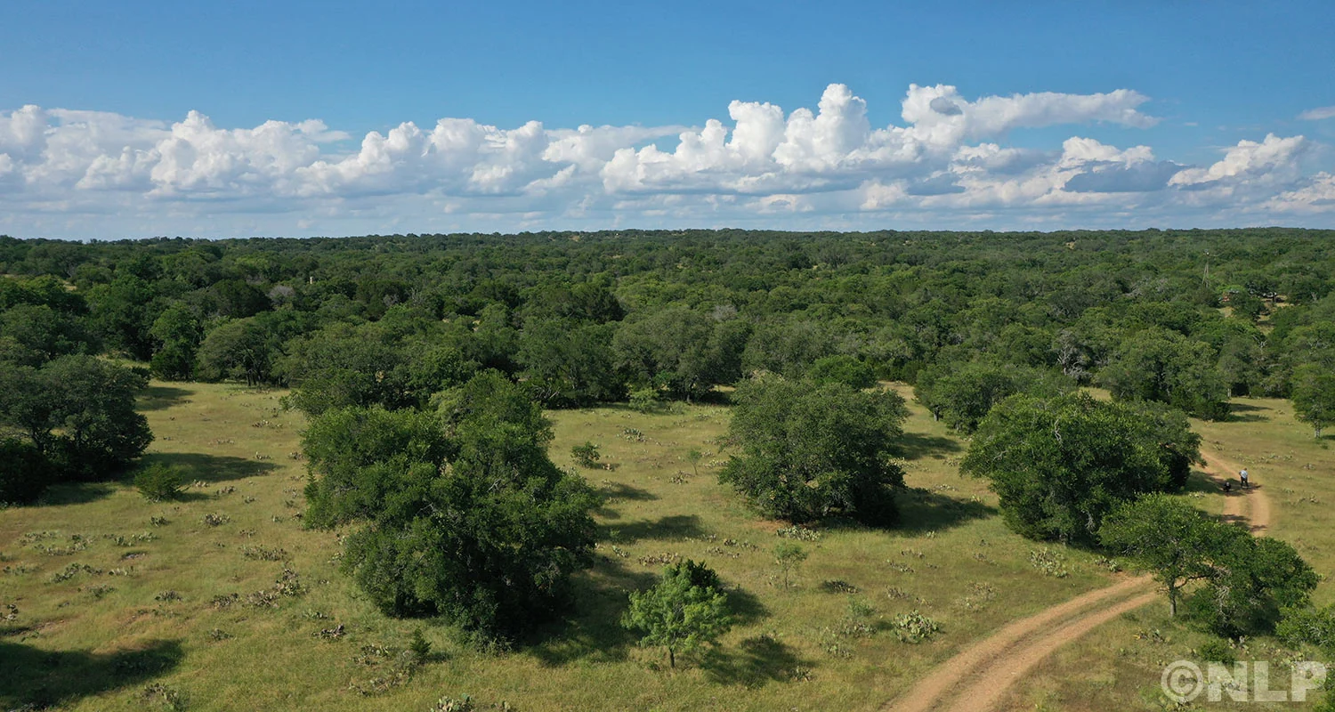 Actual aerial photo of open pasture and trees at Sawmill Ridge