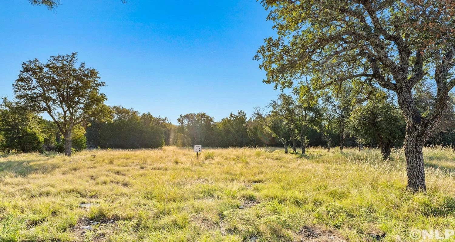 Spacious sunlit grassland and trees