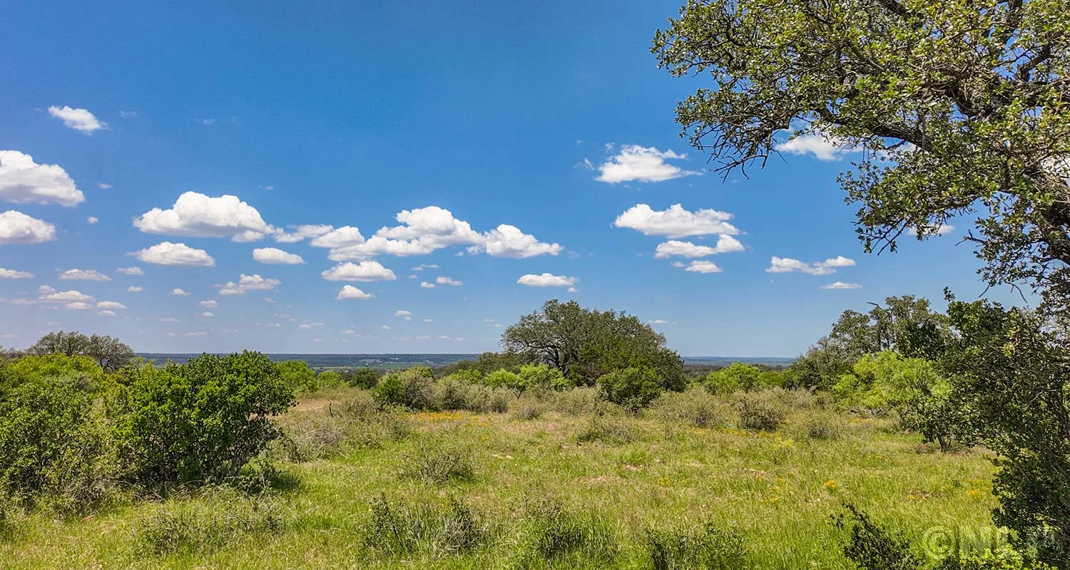 Actual Sawmill Ridge homesite with wide trees and blue sky